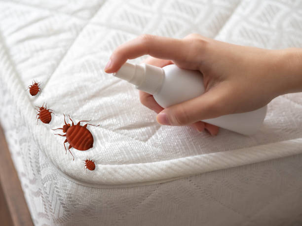 Professional Pest Control in Middlefield, OH